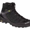 Schuhe SALEWA Trekkingschuhe | Alp Trainer 2 Mid Gtx Men