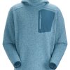 Bekleidung Arc'teryx Outdoor Jacken | Covert Pullover Hoody M Solace Hthr