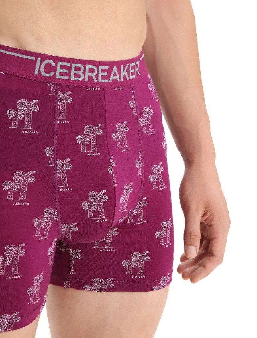 Bekleidung Icebreaker Funktionswasche | Men Anatomica Boxers Go Berry/Aop