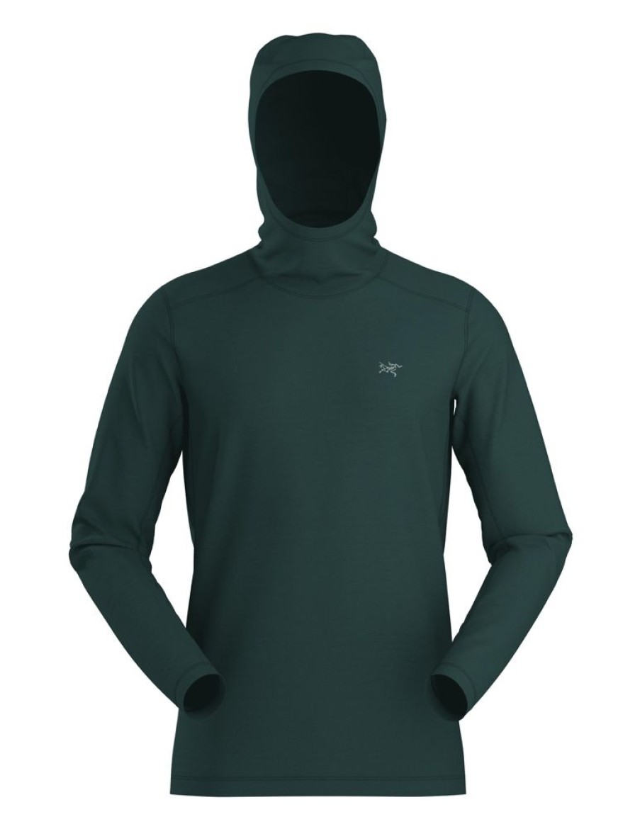 Bekleidung Arc'teryx Hemden & T-Shirts | Ionia Hoody Pytheas