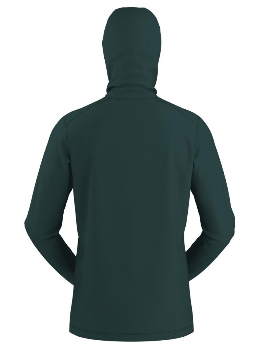 Bekleidung Arc'teryx Hemden & T-Shirts | Ionia Hoody Pytheas