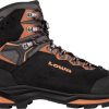 Schuhe Lowa Trekkingschuhe | Camino Evo Gtx