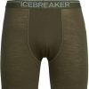 Bekleidung Icebreaker Funktionswasche | Men Anatomica Long Boxers - Loden